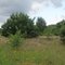 Barger Heide [Stade 2007/07]