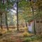 Anglerhütte im Herbst