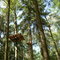 Hochseilparcour