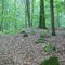 Negernboetel Langbett [DB4]