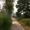 Radweg Segeberger Strasse (noch scheint die Sonne)
