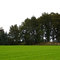 Weddelbrook Huegelgrab