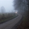 Nebel