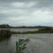 Flooding, Keo, AR