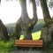 Tell me your story, tree, while I take a rest....