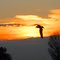 Abendrot