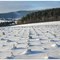 OEVENTROP - SAUERLAND - GERMANY
