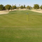 Fountain of the Sun C.C. #11 Green