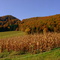 Hoppecke valley near Messinghausen