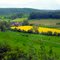 Colourful countryside in Germany