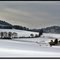 Alles unter einer weissen Decke