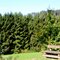 Bad Fredeburg