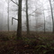 Herbstwanderung, auch das ist Sauerland