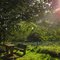The sun is guiding the way...