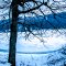 Dear Spring, Winter has been working very hard, could you please come fast and cover for him, so he can take a rest?