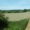 Blick über dir Felder bei Waltringen. Im Hintergrund ist die Ruhr zu sehen.