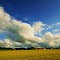 Menden-Werringsen , Germany