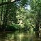 Green waters