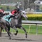 Golden Gate Fields