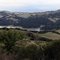 California nature