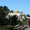 Sikh Temple