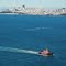 San Francisco Bay tug boat from Tiburon Uplands Nature Preserve, Tiburon Belvedere, California