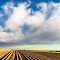Clouds - Wolken am Niederrhein
