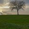 Abendstimmung