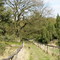 Loosenberge