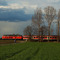 Fotostandort Kempen (KBS 495), Wittenburgweg / K11