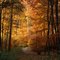 INDIAN  SUMMER  2010  I