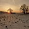 Setting winter sun
