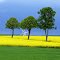 Die Farben der Natur