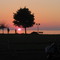 Sunset from Sylvan Beach Lake Onieda NY www.maltesefalcon.ca