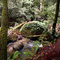Fertile rock