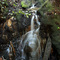 Live water
