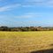 Waldblick