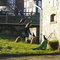 Familie Pfau -bs-