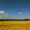 Münsterlandsommer