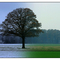 From autum to winter...
