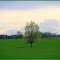 Frühling