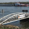 der Rhein bei Voerde