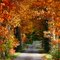 Herbst am Niederrhein