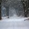 Winter am Niederrhein