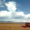Berthoud Farms