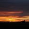 Humid Sunrise in Buda Colorado