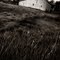 Old Barn