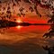 Sonnenuntergang am Möhnesee.