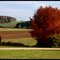 Herbststimmung
