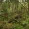 Wettenberger Ried